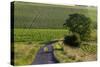 Agriculture and Farmland West of Angouleme in Southwestern France-David R. Frazier-Stretched Canvas