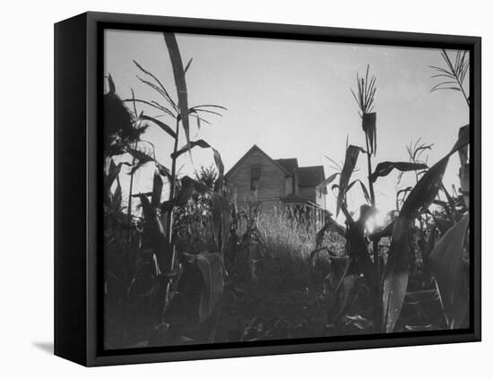 Agriculture Fams in Nebraska-null-Framed Stretched Canvas