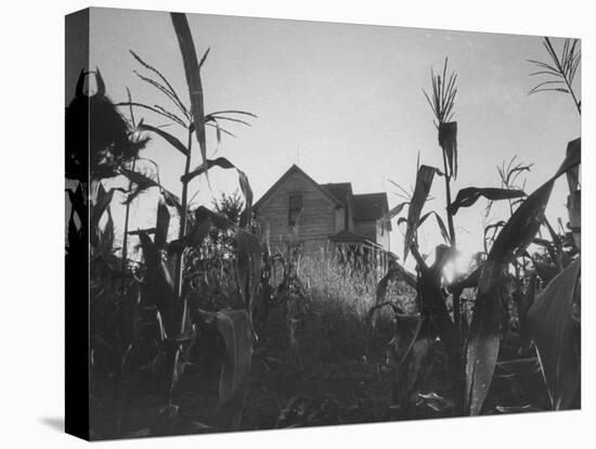 Agriculture Fams in Nebraska-null-Stretched Canvas