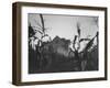 Agriculture Fams in Nebraska-null-Framed Photographic Print