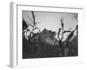 Agriculture Fams in Nebraska-null-Framed Photographic Print