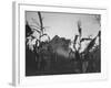 Agriculture Fams in Nebraska-null-Framed Photographic Print