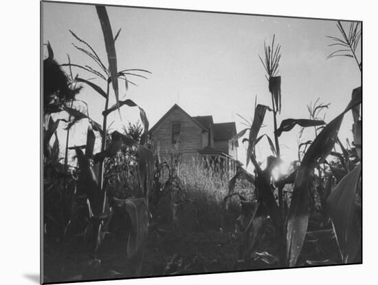 Agriculture Fams in Nebraska-null-Mounted Photographic Print