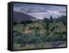 Agriculture Fields, Indus Valley, Pakistan-Gavriel Jecan-Framed Stretched Canvas