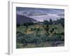 Agriculture Fields, Indus Valley, Pakistan-Gavriel Jecan-Framed Photographic Print