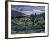 Agriculture Fields, Indus Valley, Pakistan-Gavriel Jecan-Framed Photographic Print