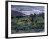 Agriculture Fields, Indus Valley, Pakistan-Gavriel Jecan-Framed Photographic Print