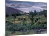 Agriculture Fields, Indus Valley, Pakistan-Gavriel Jecan-Mounted Photographic Print