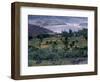 Agriculture Fields, Indus Valley, Pakistan-Gavriel Jecan-Framed Photographic Print