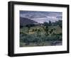 Agriculture Fields, Indus Valley, Pakistan-Gavriel Jecan-Framed Photographic Print