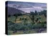 Agriculture Fields, Indus Valley, Pakistan-Gavriel Jecan-Stretched Canvas