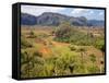 Agriculture in the Dramatic Valle De Vinales, Pinar Del Rio Province, Cuba-Martin Child-Framed Stretched Canvas