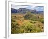 Agriculture in the Dramatic Valle De Vinales, Pinar Del Rio Province, Cuba-Martin Child-Framed Photographic Print
