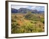 Agriculture in the Dramatic Valle De Vinales, Pinar Del Rio Province, Cuba-Martin Child-Framed Photographic Print