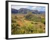 Agriculture in the Dramatic Valle De Vinales, Pinar Del Rio Province, Cuba-Martin Child-Framed Photographic Print