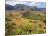 Agriculture in the Dramatic Valle De Vinales, Pinar Del Rio Province, Cuba-Martin Child-Mounted Photographic Print