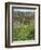 Agriculture near Pedra Badejo. Santiago Island, Cape Verde.-Martin Zwick-Framed Photographic Print