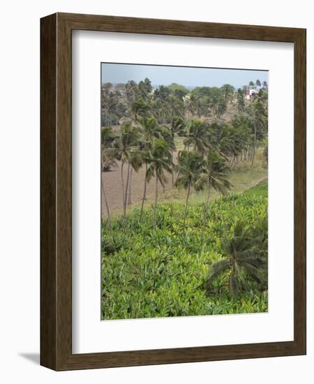 Agriculture near Pedra Badejo. Santiago Island, Cape Verde.-Martin Zwick-Framed Photographic Print