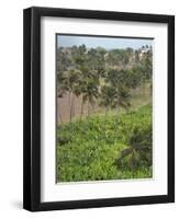 Agriculture near Pedra Badejo. Santiago Island, Cape Verde.-Martin Zwick-Framed Photographic Print