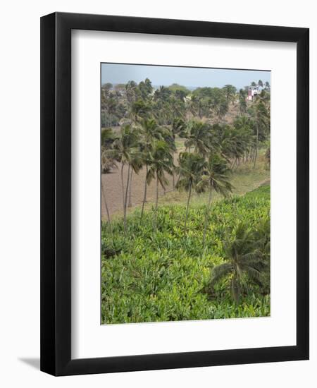 Agriculture near Pedra Badejo. Santiago Island, Cape Verde.-Martin Zwick-Framed Photographic Print