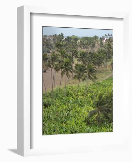 Agriculture near Pedra Badejo. Santiago Island, Cape Verde.-Martin Zwick-Framed Photographic Print