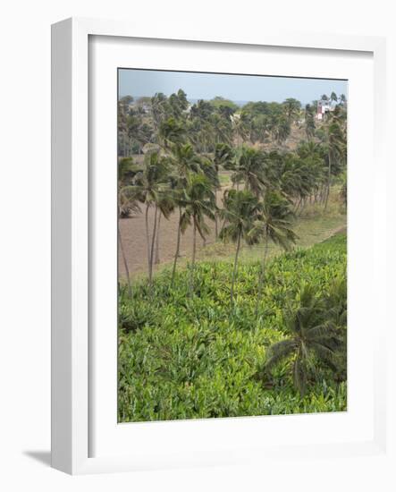 Agriculture near Pedra Badejo. Santiago Island, Cape Verde.-Martin Zwick-Framed Photographic Print