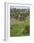 Agriculture near Pedra Badejo. Santiago Island, Cape Verde.-Martin Zwick-Framed Photographic Print