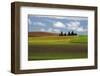 Agriculture, Palouse View, Whitman County, Washington, USA-Michel Hersen-Framed Photographic Print