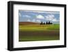 Agriculture, Palouse View, Whitman County, Washington, USA-Michel Hersen-Framed Photographic Print