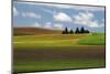 Agriculture, Palouse View, Whitman County, Washington, USA-Michel Hersen-Mounted Photographic Print