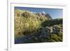 Aguilles Blusher, Haute-Savoie, France-Rainer Mirau-Framed Photographic Print