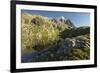 Aguilles Blusher, Haute-Savoie, France-Rainer Mirau-Framed Photographic Print