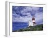 Agulhas Lighthouse, South Africa-Walter Bibikow-Framed Photographic Print