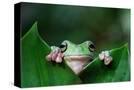 Stretched Canvas