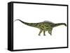 Agustinia Ligabuei, a Sauropod from the Early Cretaceous Period-null-Framed Stretched Canvas