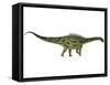 Agustinia Ligabuei, a Sauropod from the Early Cretaceous Period-null-Framed Stretched Canvas