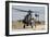 Ah-64D Apache Longbow of the Royal Netherlands Air Force-null-Framed Photographic Print