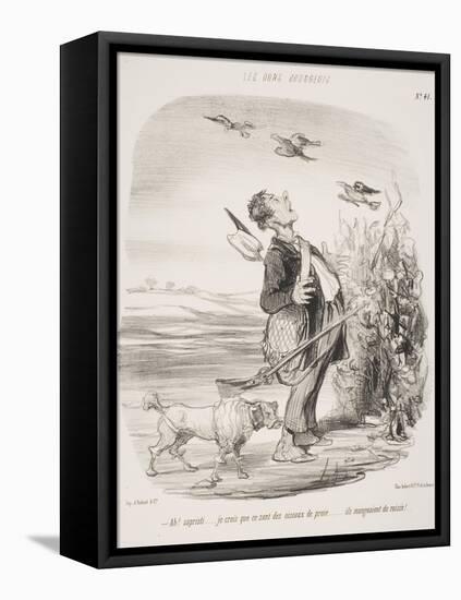 Ah! Sapristi.... Je Crois Que Ce Sont Des Oiseaux De Proie.... Ils Mangeaient Du Raisin!-Honore Daumier-Framed Stretched Canvas