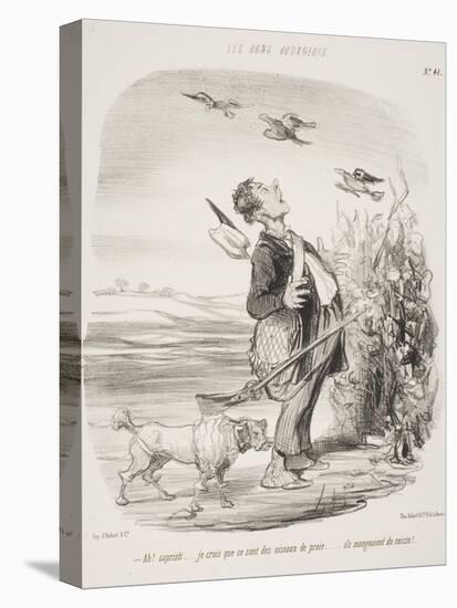 Ah! Sapristi.... Je Crois Que Ce Sont Des Oiseaux De Proie.... Ils Mangeaient Du Raisin!-Honore Daumier-Stretched Canvas