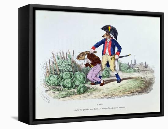 Aha! My Rabbit I've Caught You Eating Your Neighbours Cabbages, Les Metamorphoses du Jour, c.1854-Grandville-Framed Stretched Canvas