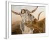 Ahhhhh!-Kathy Winkler-Framed Art Print