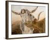 Ahhhhh!-Kathy Winkler-Framed Art Print