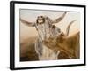 Ahhhhh!-Kathy Winkler-Framed Art Print