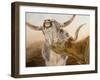 Ahhhhh!-Kathy Winkler-Framed Art Print