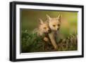 Black Frame