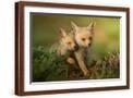Brown Frame