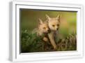 White Frame