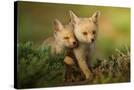 Stretched Canvas