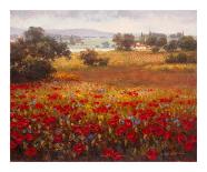Italian Poppy Vista I-Ahn Seung Koo-Laminated Art Print