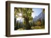 Ahornboden, Karwendel Mountains, Austria-Alfons Rumberger-Framed Photographic Print